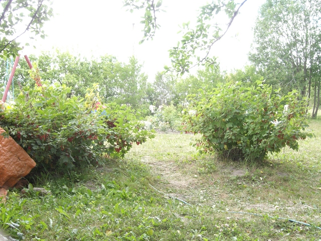 CIMG1737.JPG