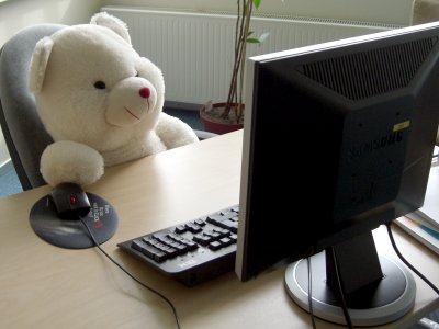 Estonian programmer