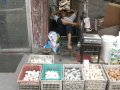 092-cimg4745.jpg.small.jpeg