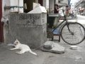 098-cimg4759.jpg.small.jpeg